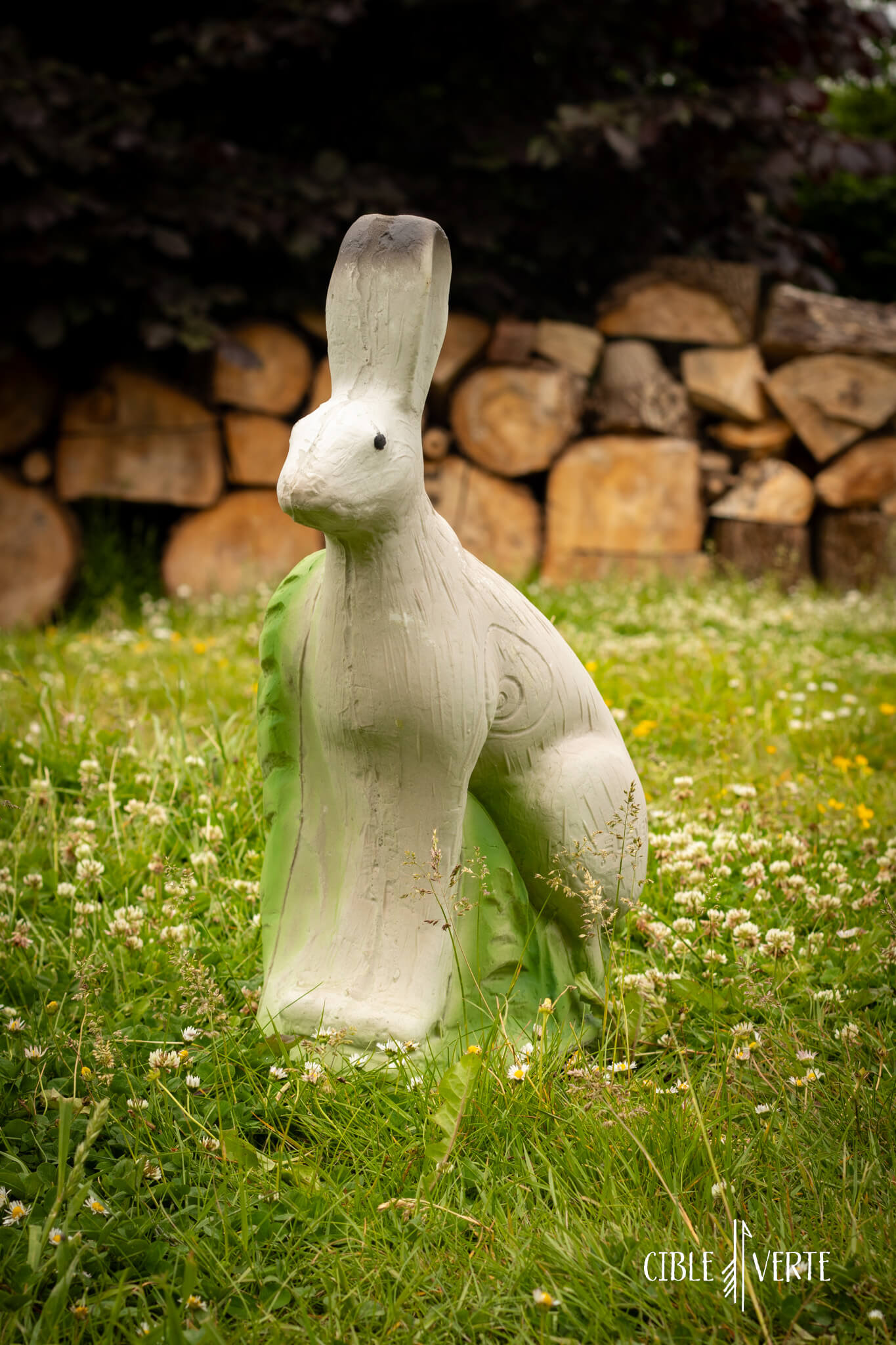 Cible de tir à l’arc 3D Lapin Eleven