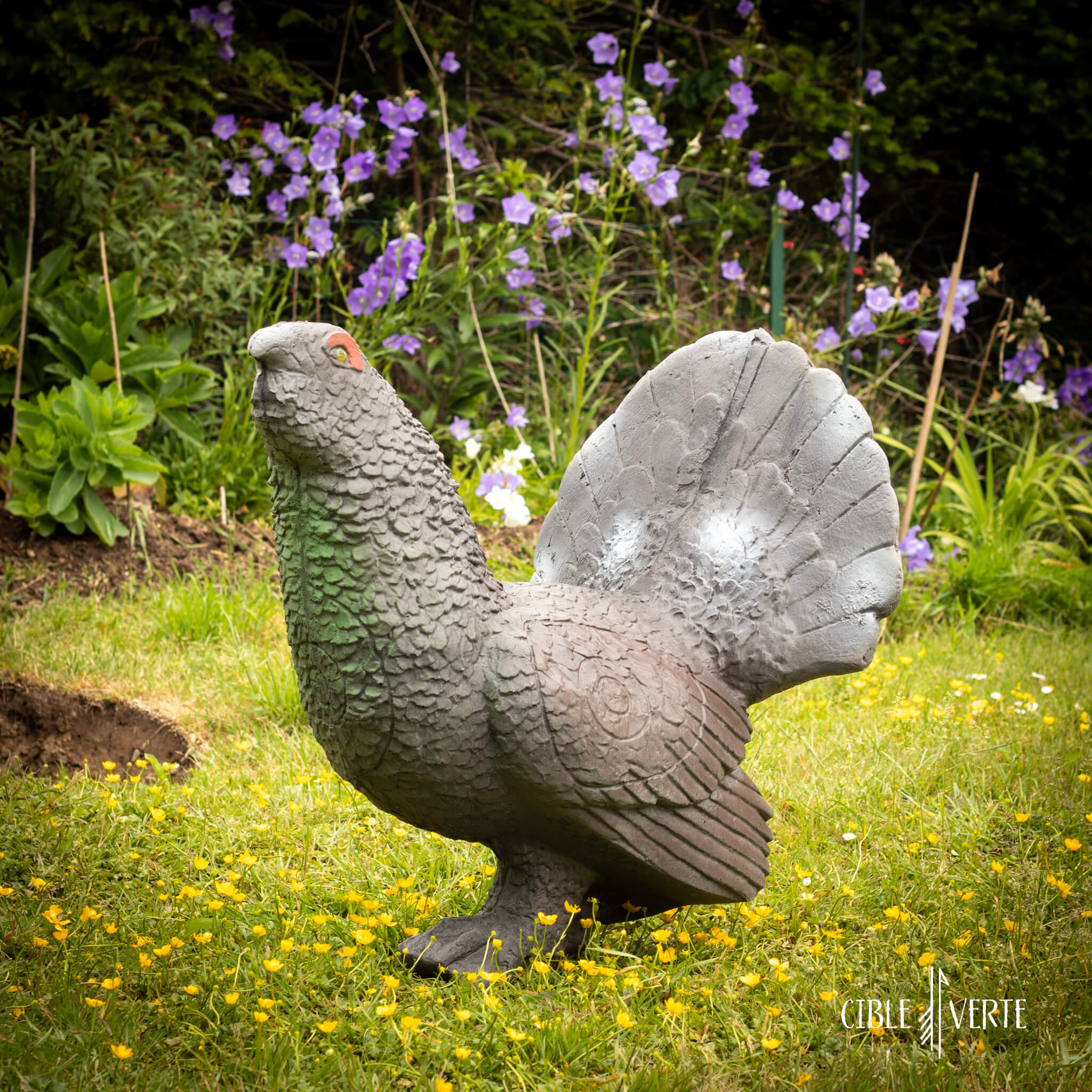 Cible 3D de tir à l’arc – coq des bruyère Eleven