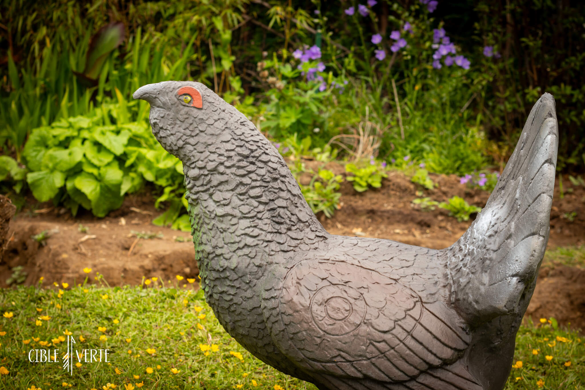 Cible 3D de tir à l’arc – Grand tétras Eleven