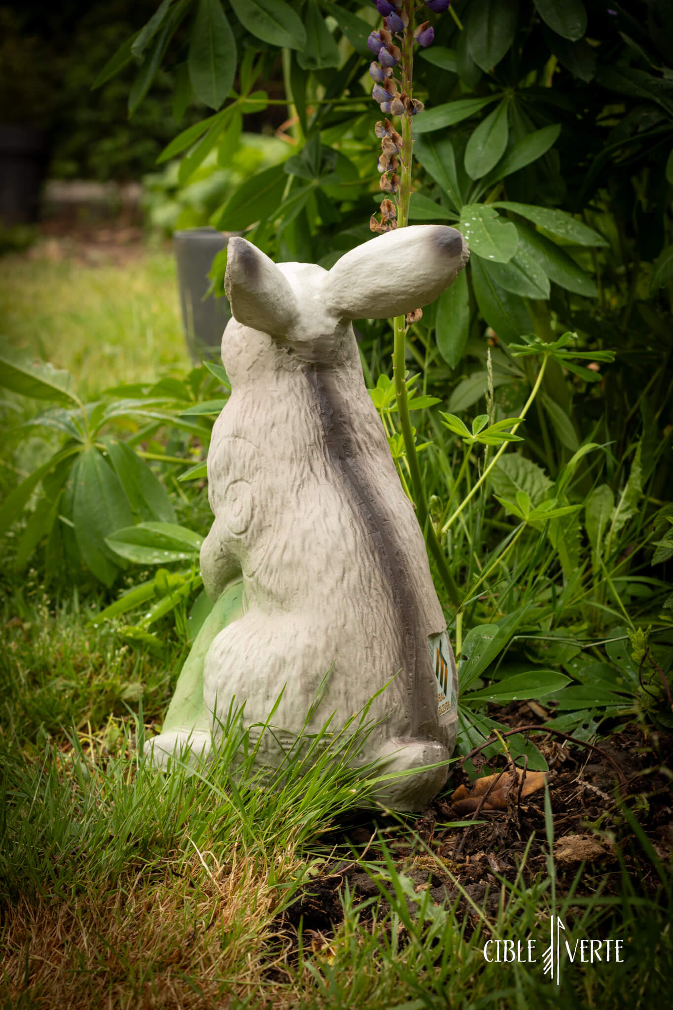 Cible 3D de tir à l’arc – Lièvre Eleven