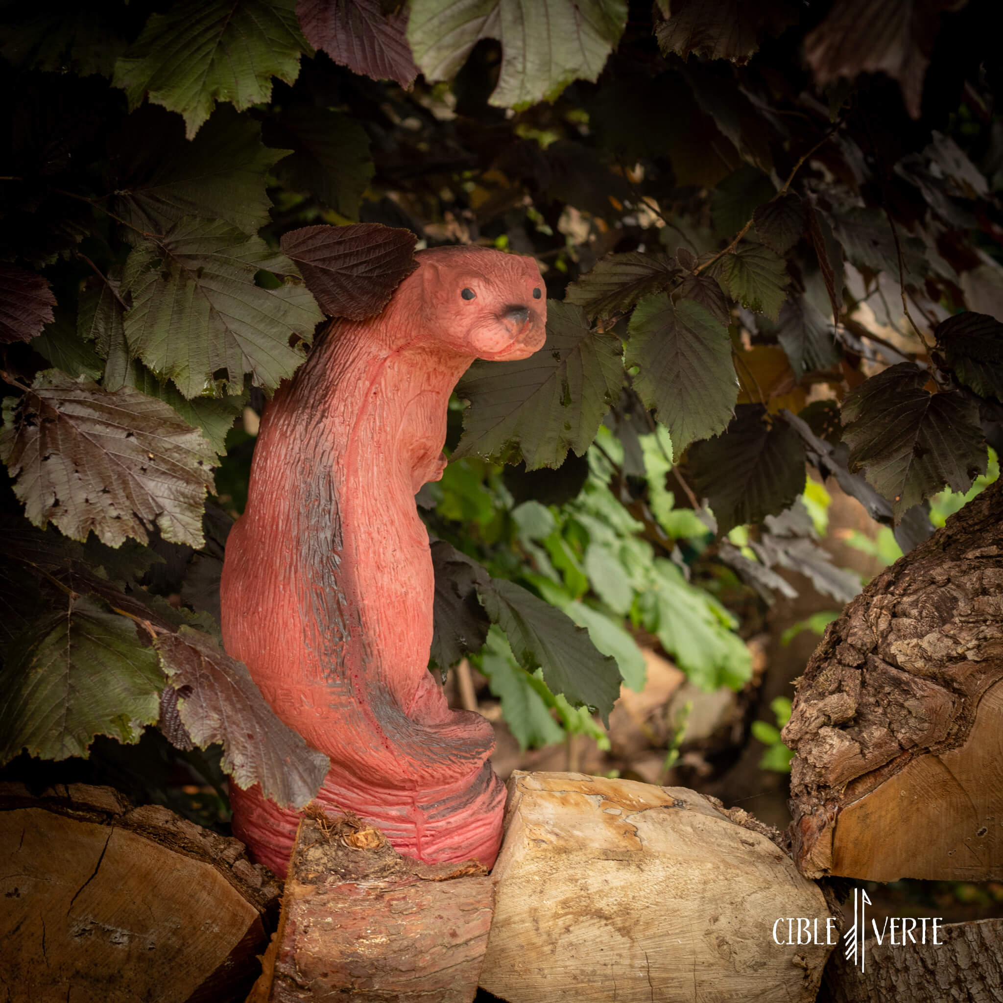 Eleven Marten 3D Archery Target