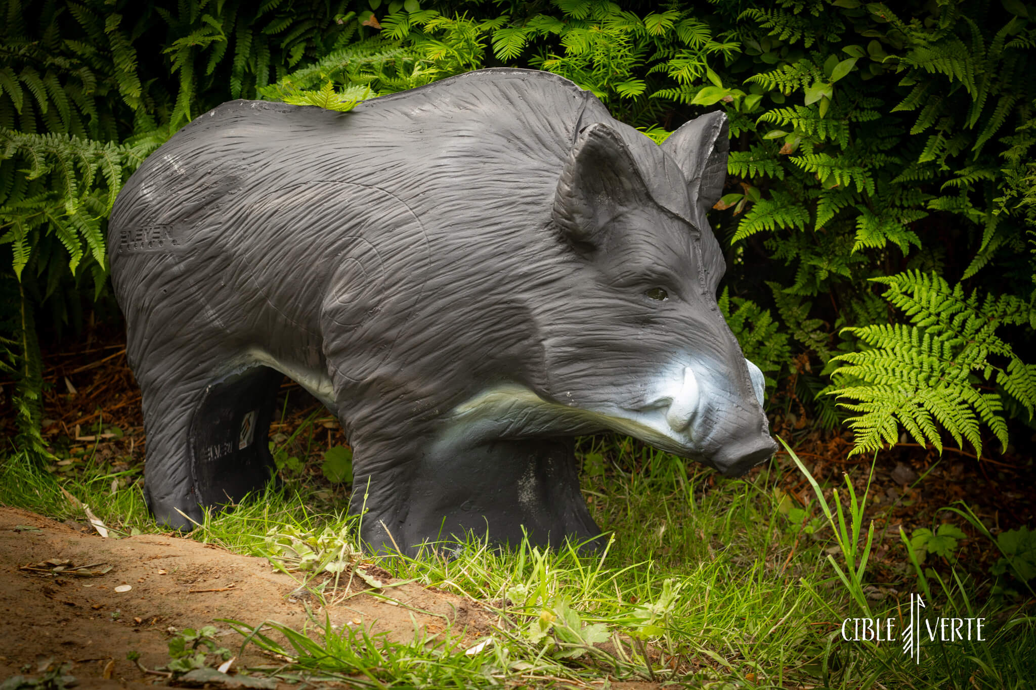 Cible 3D de tir à l’arc – Sanglier moyen Eleven