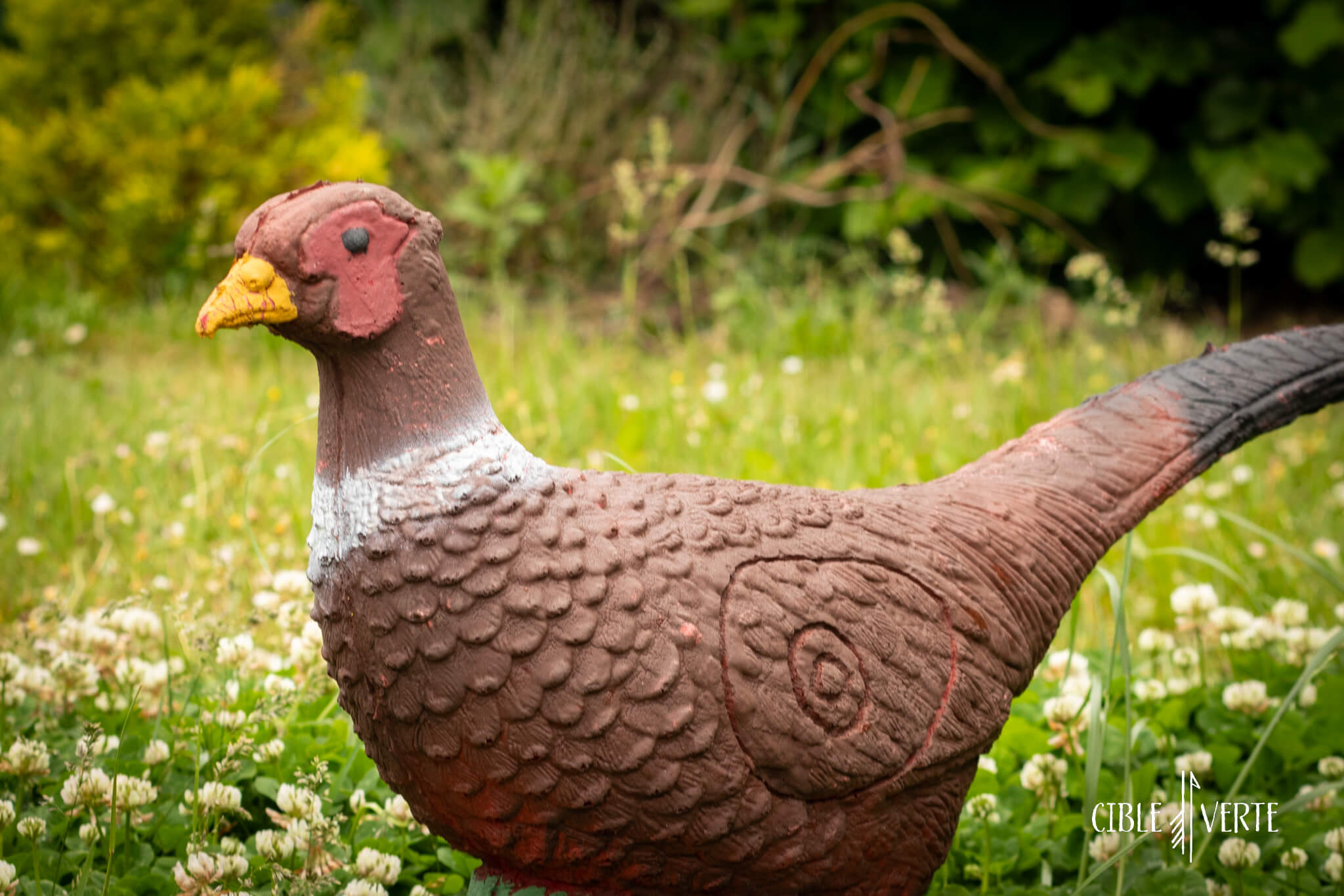 Eleven Pheasant 3D Archery Target