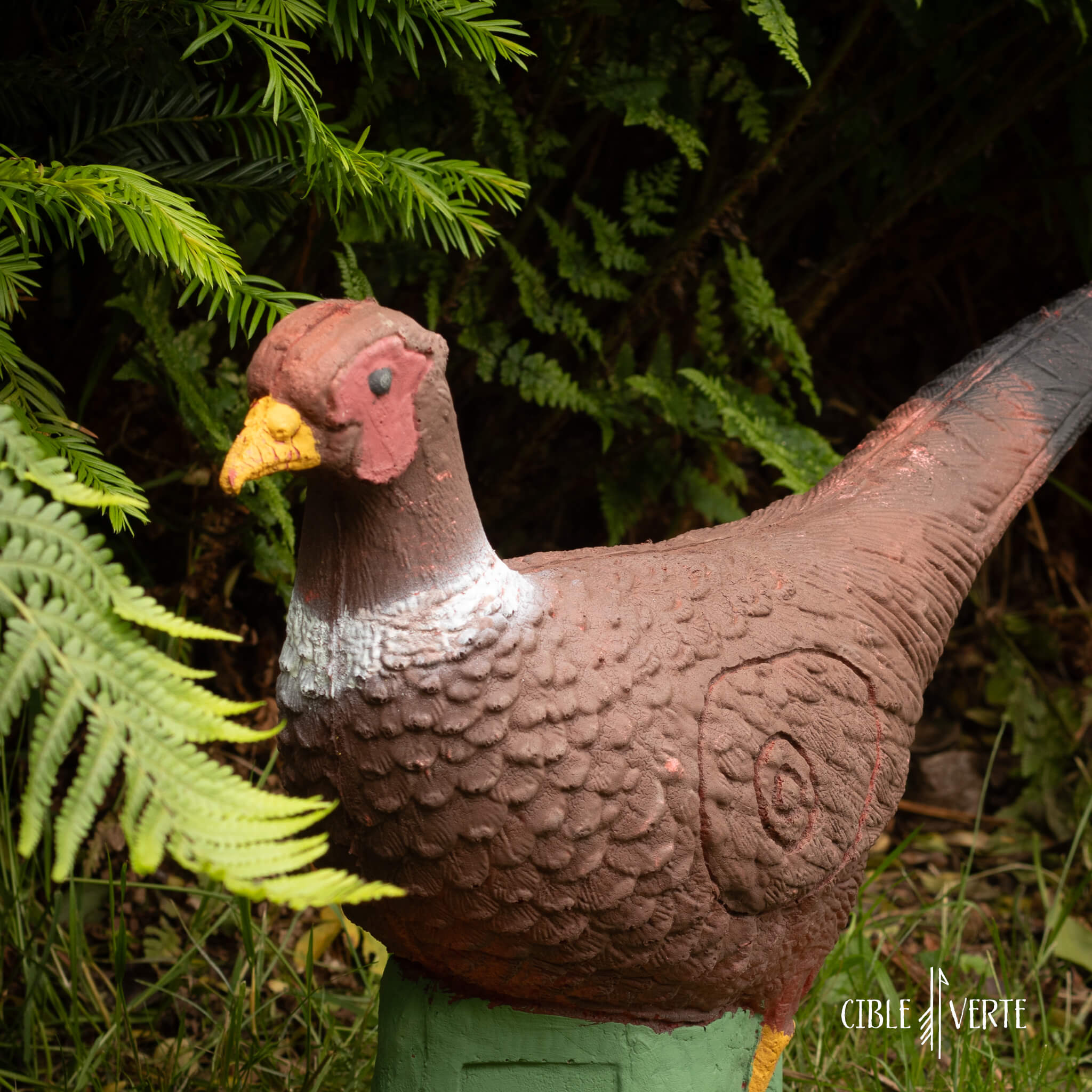 Eleven Pheasant 3D Archery Target