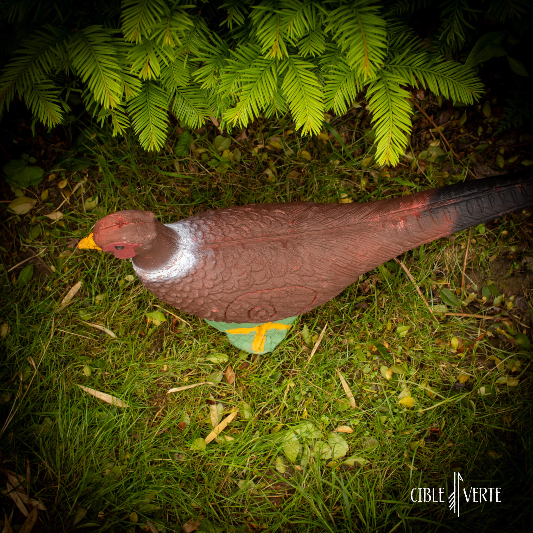 Eleven Pheasant 3D Archery Target