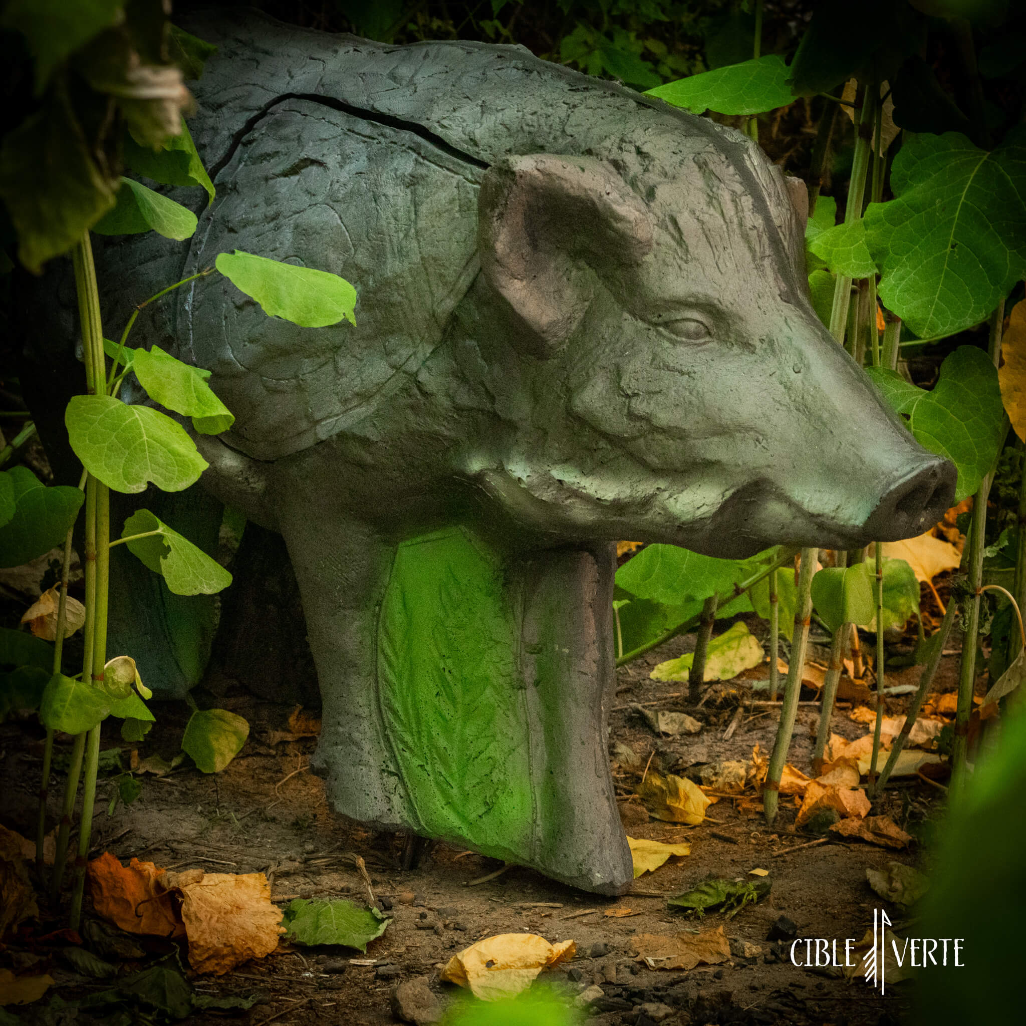 Eleven Wild Boar 3D Archery Target with insert