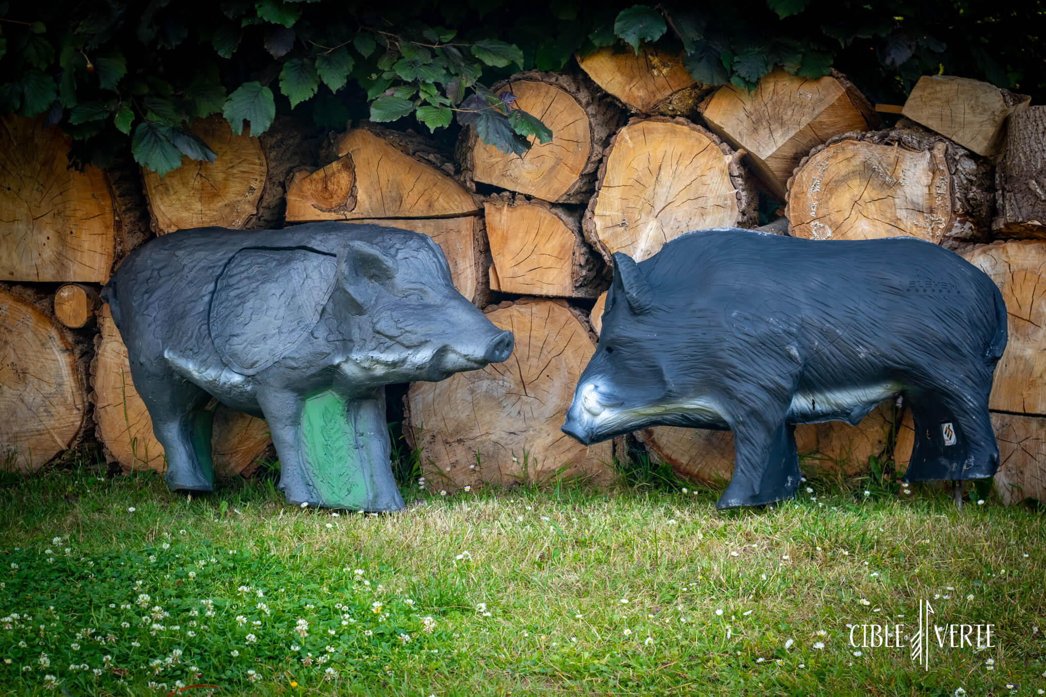 Eleven Wild Boar 3D Archery Target with insert